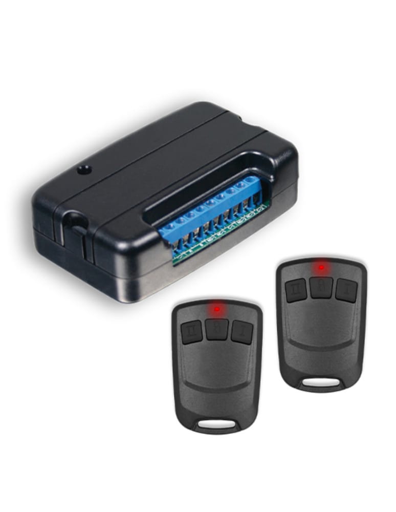 Kit De Control Remoto Rx-300 Con Dos Controles Remotos