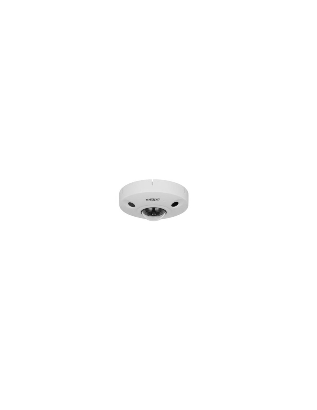 Cámara Panorámica ojo de pez IP 12 Mpx Dahua WizMind IR 60 m
